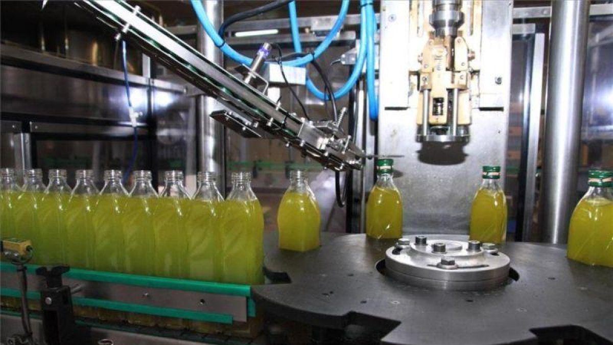 Fábrica envasadora de aceite de oliva