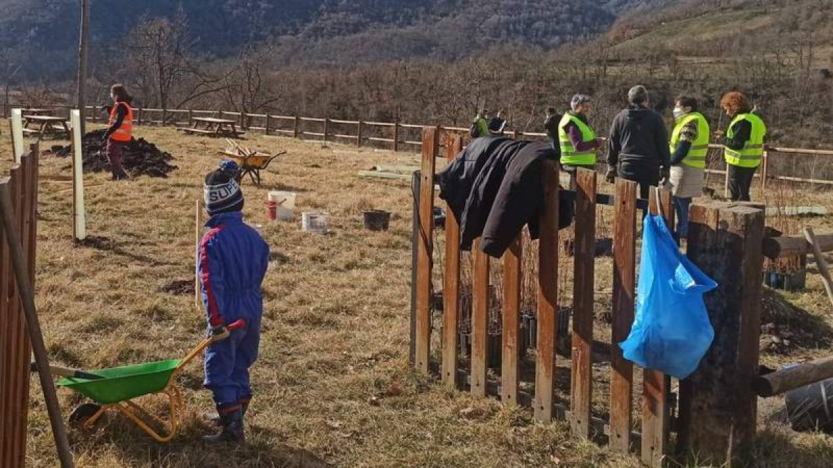 Un momento de la plantación, donde los más pequeños también colaboran. ARAUJO