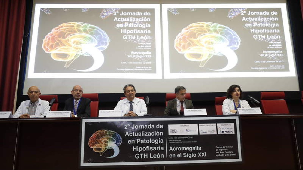 Inauguración de las jornadas sobre acromegalia que se celebraron ayer en el Hospital de León con setenta especialistas de toda España. RAMIRO