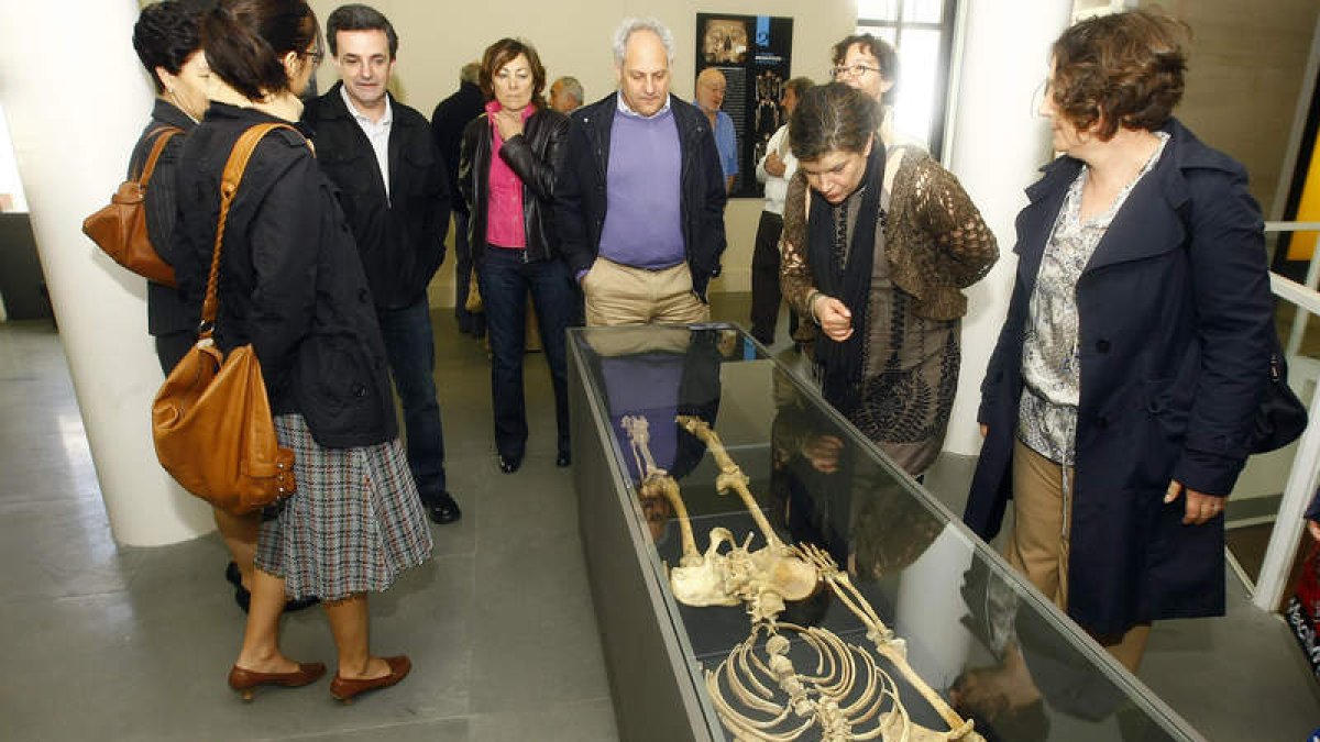 Exposición con restos de Arintero en el Museo de León.