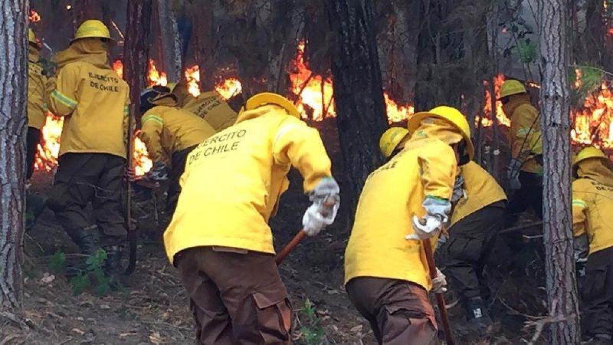 Chile vive una ola de incendios forestales que han arrasado con miles de hectáreas.