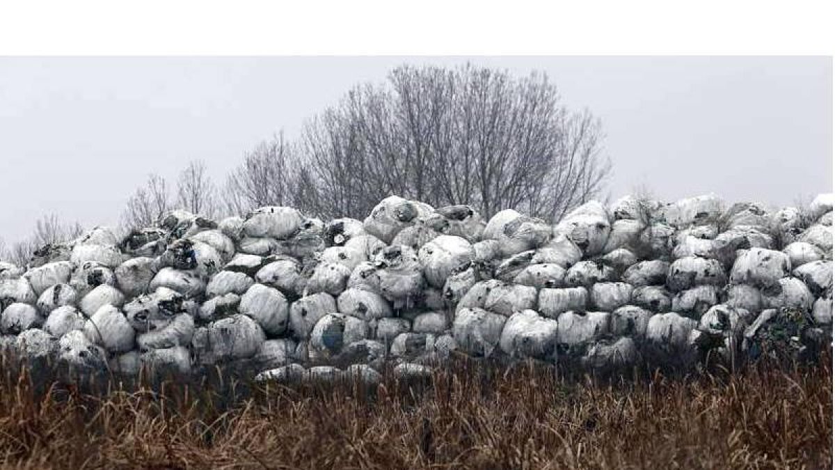 Balas de basura en la finca El Busto que colinda con Santa María, Valdefuentes y Villazala.