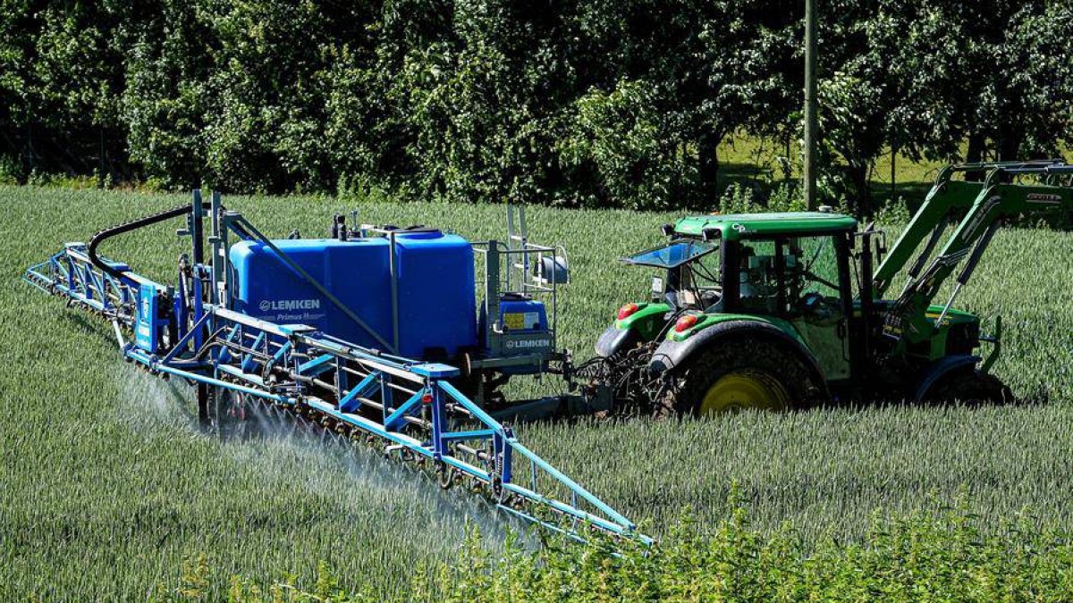 Labores de aplicación de herbicidas en un cultivo agrícola. EFE