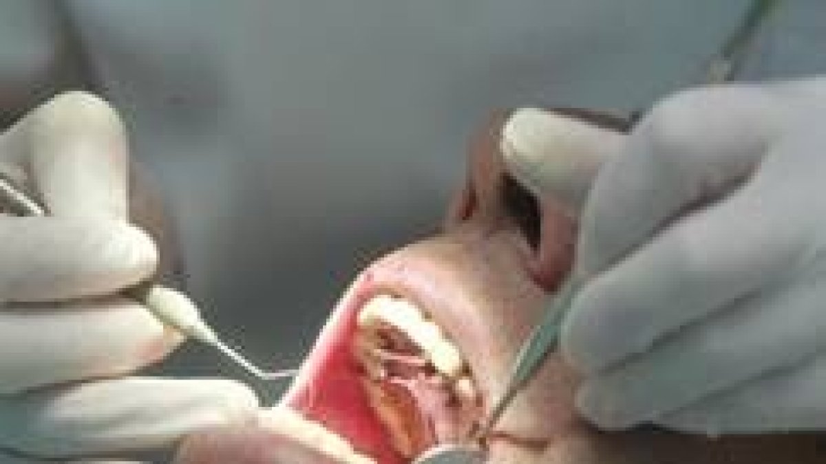Odontólogos y estomatólogos recomiendan a los pacientes que acudan siempre al mismo profesional