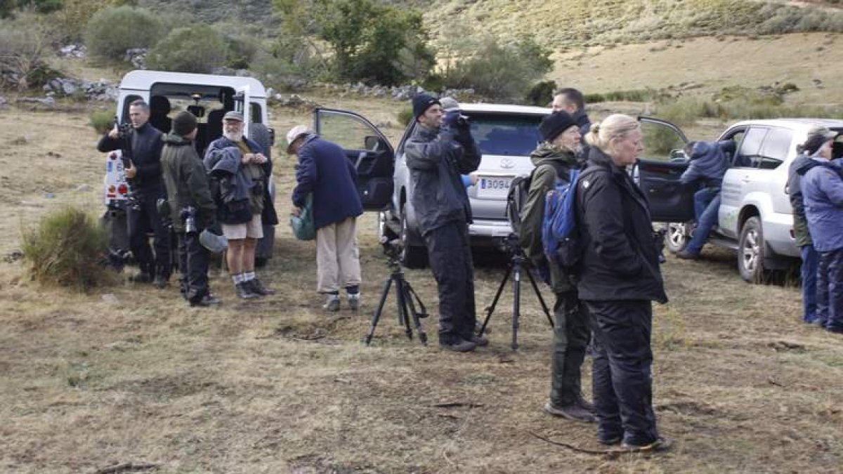 Un grupo de turistas realiza observamiento de especies en la montaña de Riaño.