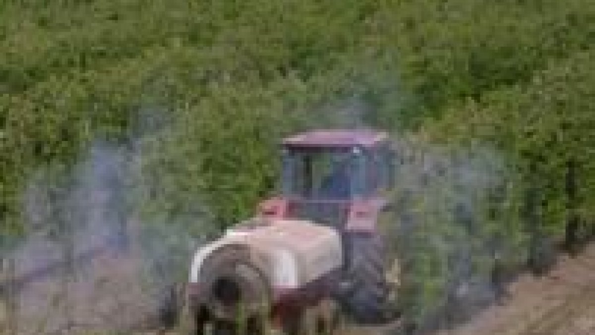 Un tractor fumiga una plantación de frutales, a los que se pretende ayudar en épocas de heladas