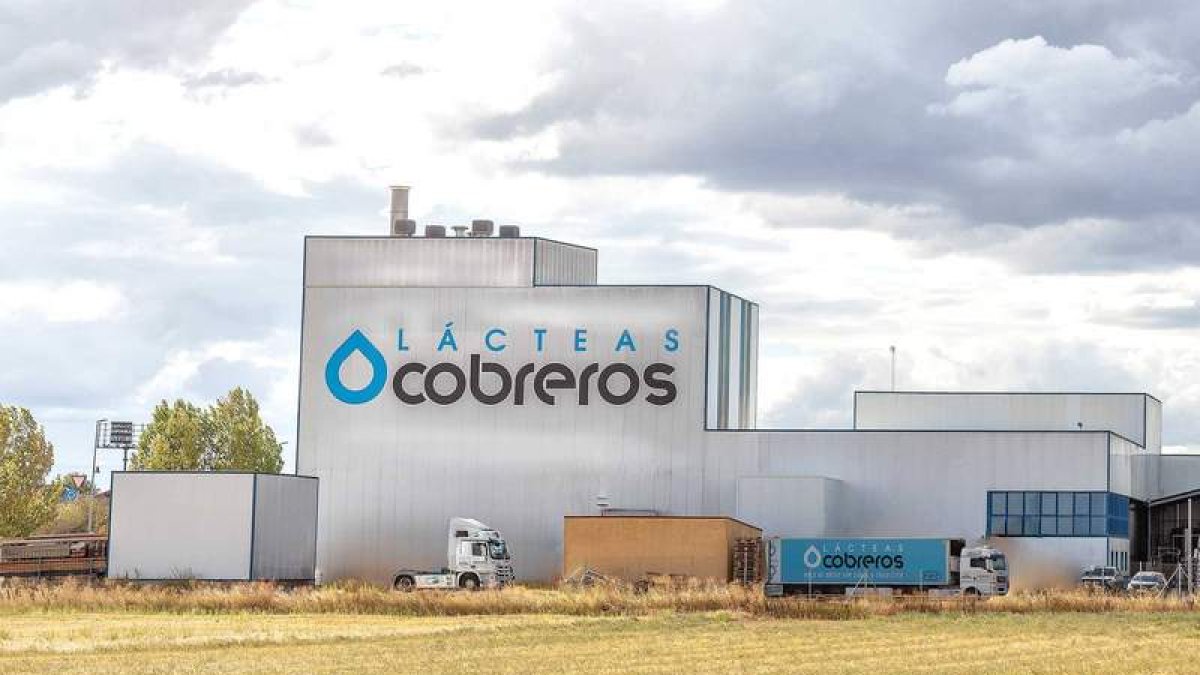 Imagen de la industria láctea de Zamora. DL