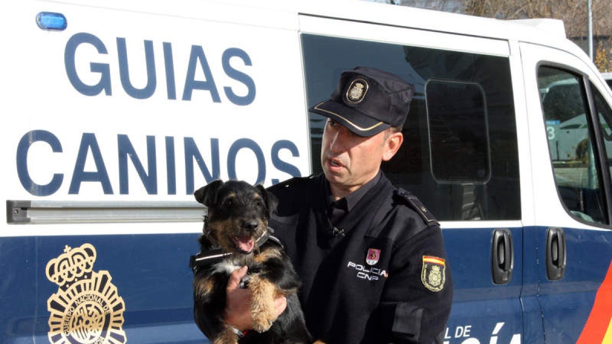 Uno de los perros adiestrados en la detección de acelerantes de la Policía Nacional.