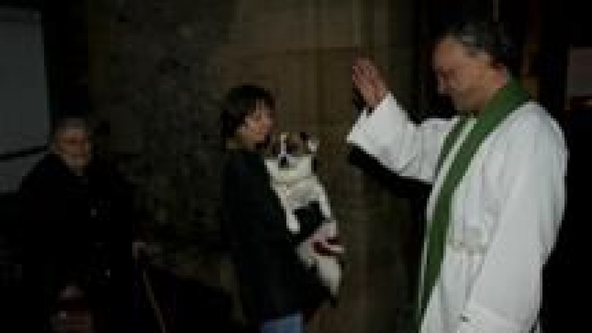 Decenas de personas acudieron con sus animales a la parroquia de Cacabelos