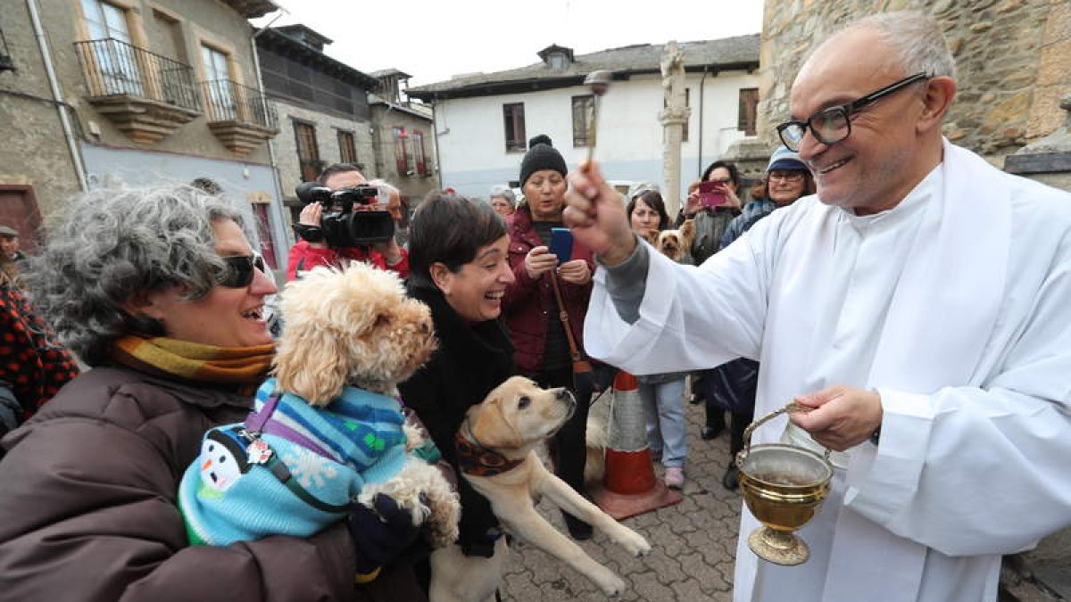 Un centenar de animales con sus dueños acudieron ayer al acto de San Antón en Cacabelos. L. DE LA MATA