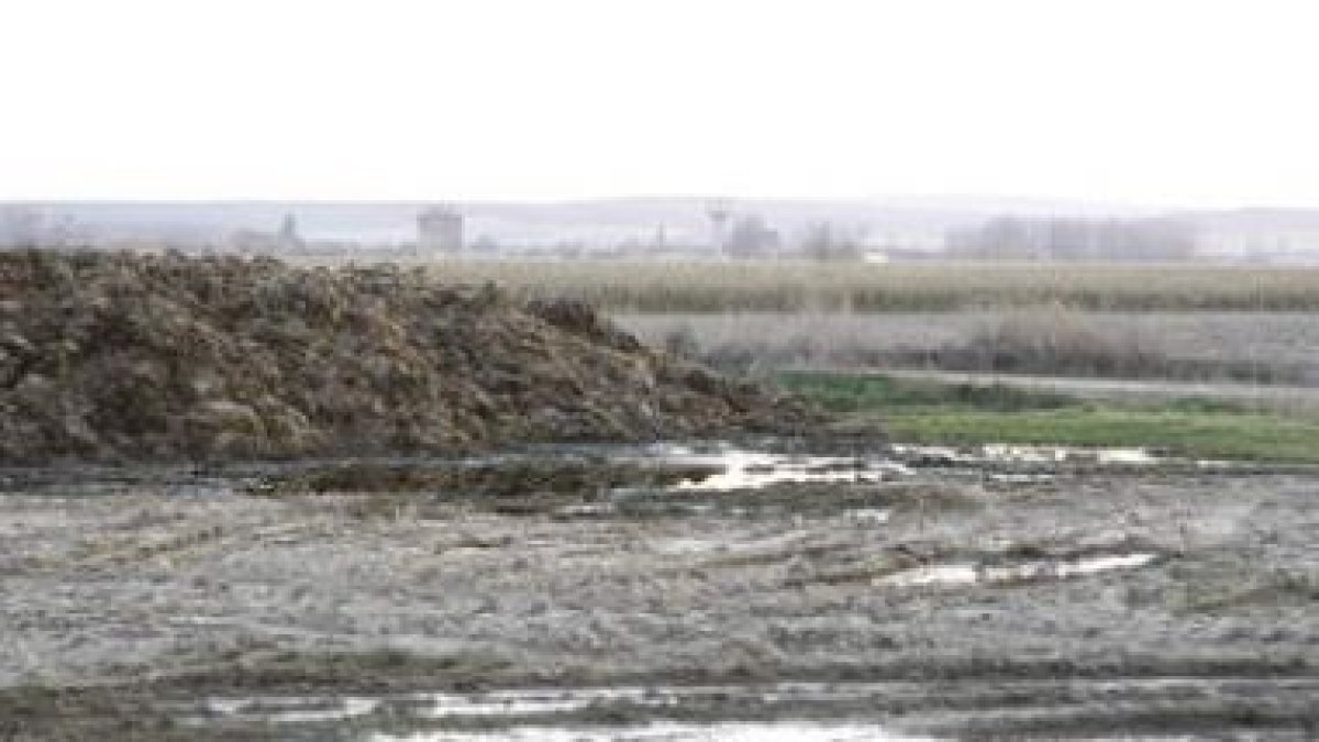 El estiércol de los establos o los cultivos ocupan la zona arqueológica de Los Villares