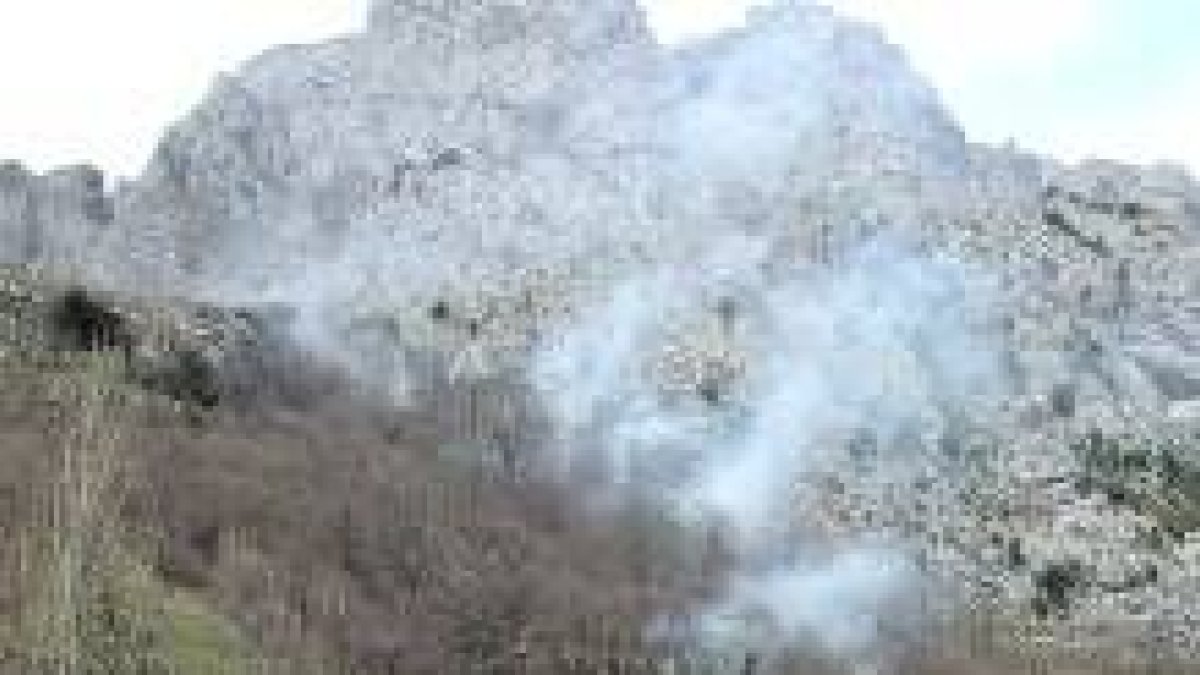 El incendio quemó alrededor de media hectárea de matorral cerca de Caín, en Picos de Europa