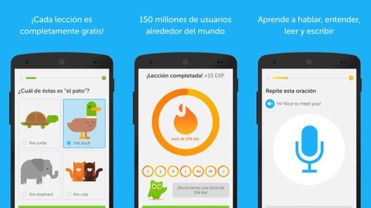 La aplicación Duolingo.