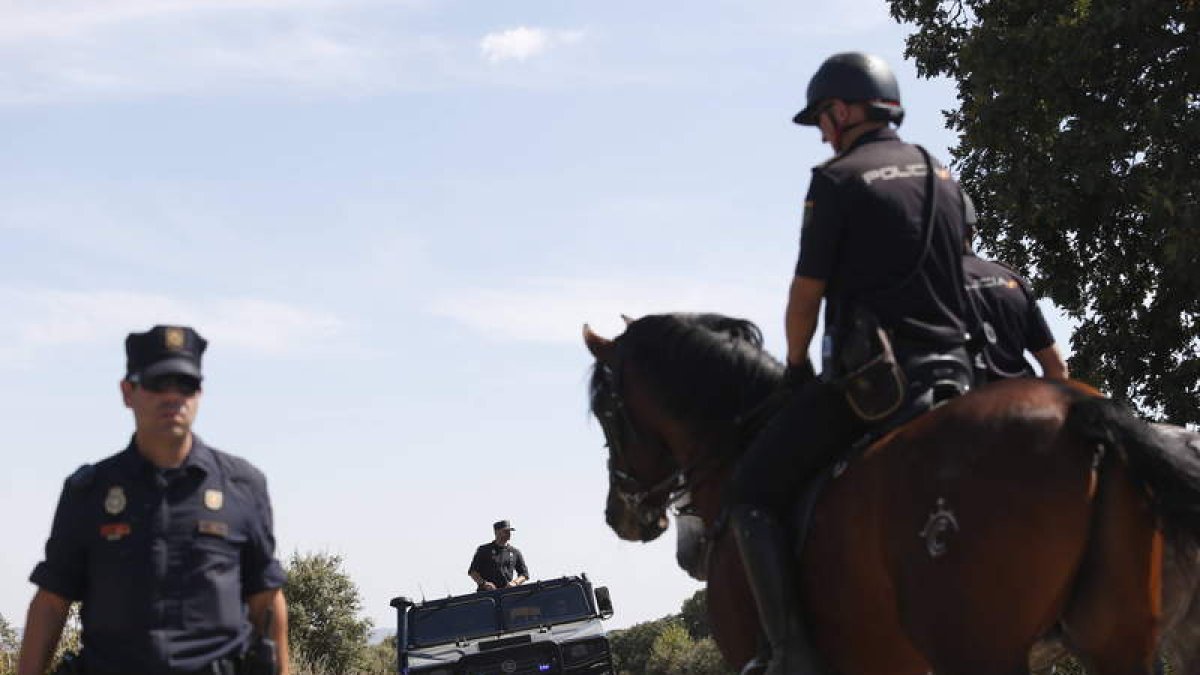 Una fotografía del despliegue policial que finalizó con la detención del autor del crimen