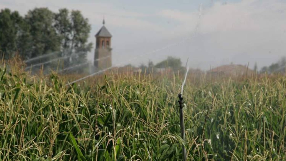 La cifra de nuevos agricultores supera en más del doble la de años anteriores al 2012.