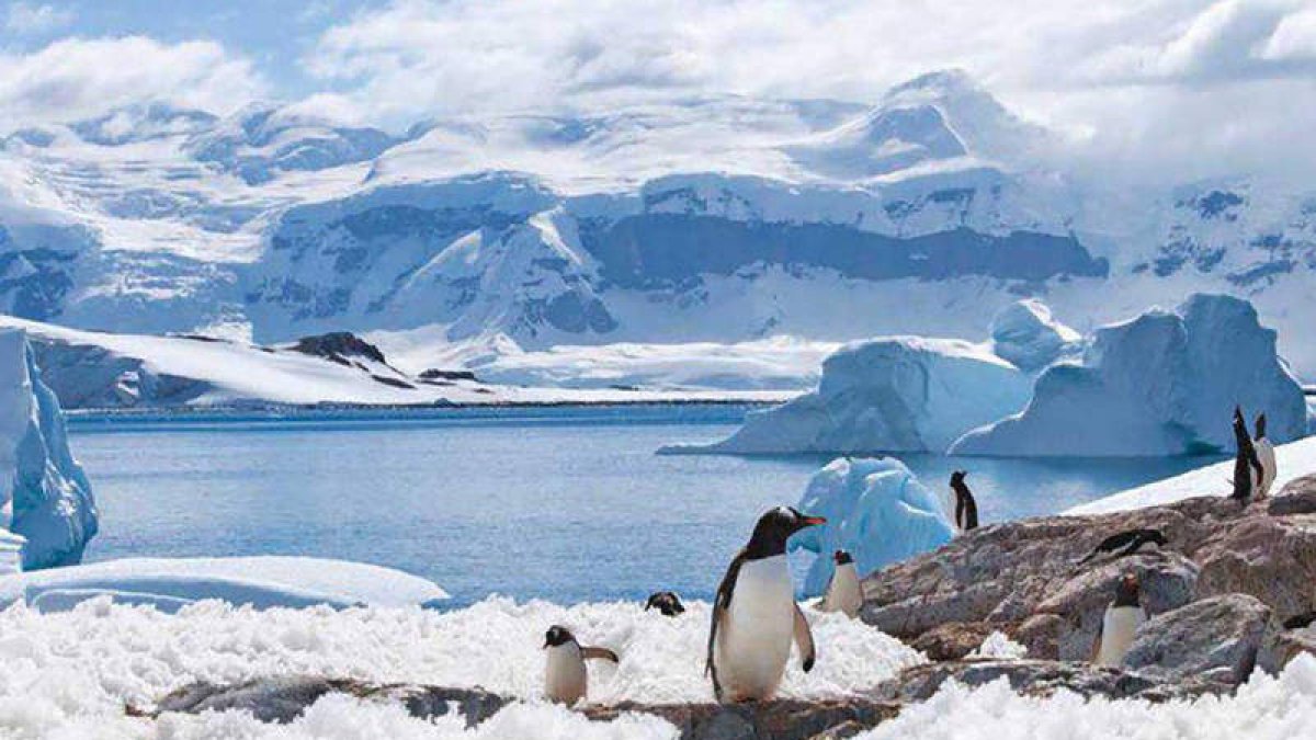 A los problemas del deshielo en la Antártida se suma la contaminación por microplásticos. DL