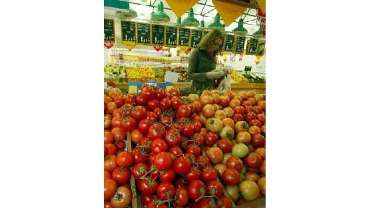 Los precios de los tomates se han recortado en noviembre en un 16,8%