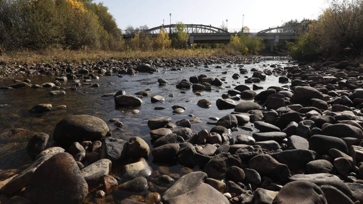 Imagen del río Eria a su paso por la provincia de León con apenas agua durante el verano. JESÚS F. SALVADORES