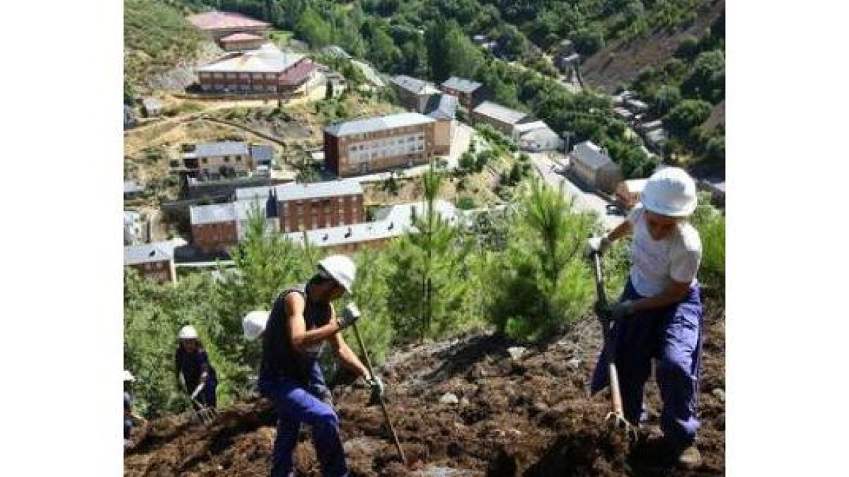 La presentación del proyecto se llevó a cabo en junio.