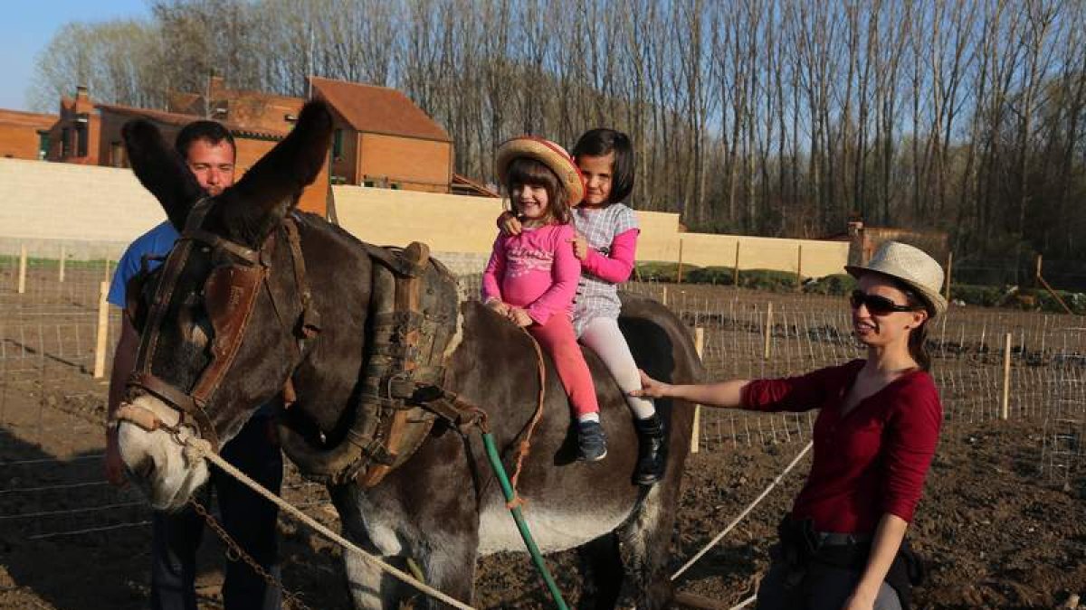 Fernando García y María Hernández son los encargados de que las huertas estén preparadas para poder plantar. Ambos aseguran que el trabajo de la puesta a punto es el más complicado. Parcelar o hacer el pozo y ponerlo en funcionamiento son algunas de las ú