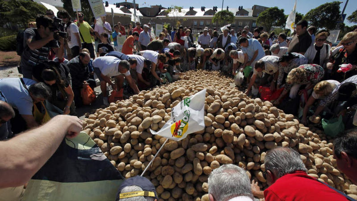UPA y Coag regalan 10.000 kilos de patatas en la puerta de Carrefour en Ávila.