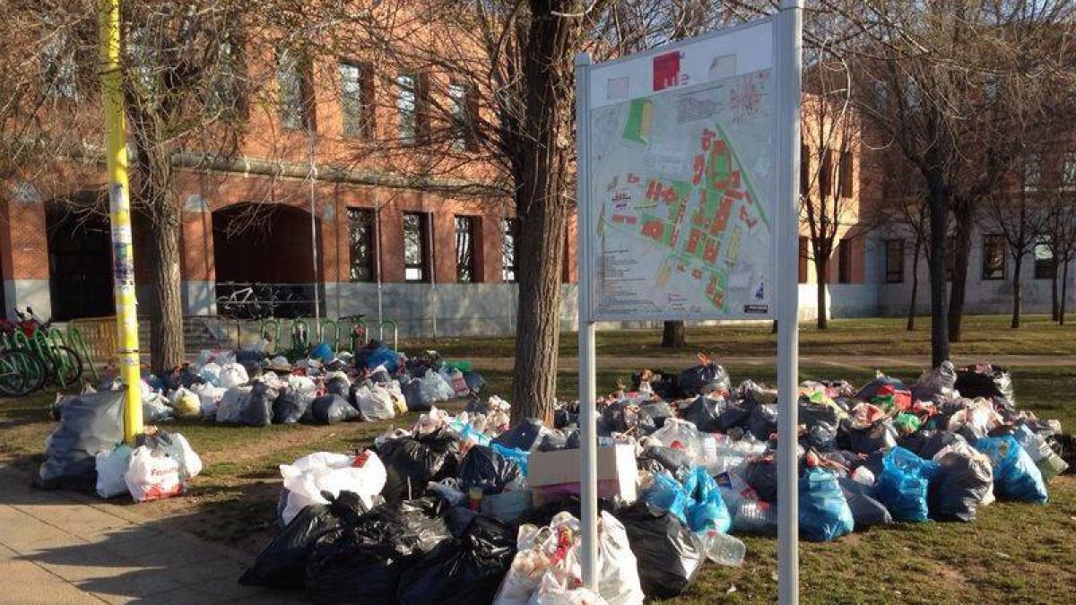 Foto tomada esta mañana en la que se muestran las bolsas de basura recogidas por los estudiantes sin retirar.
