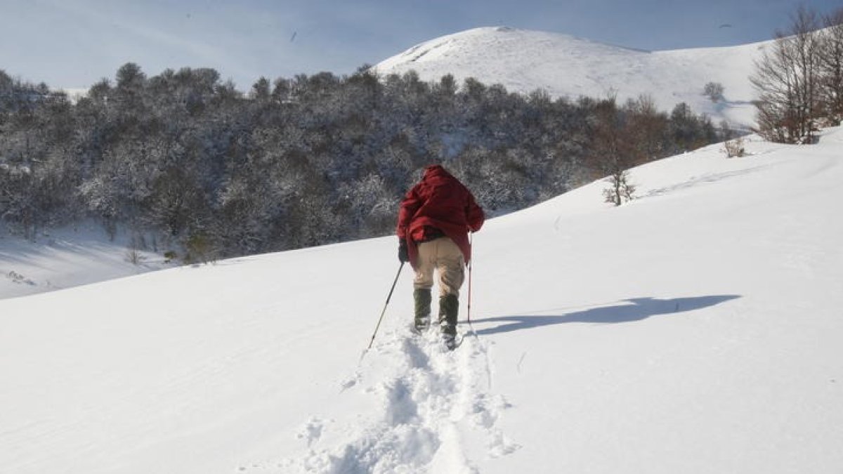 Un montañero realiza una ruta con raquetas por Picos de Europa. NORBERTO