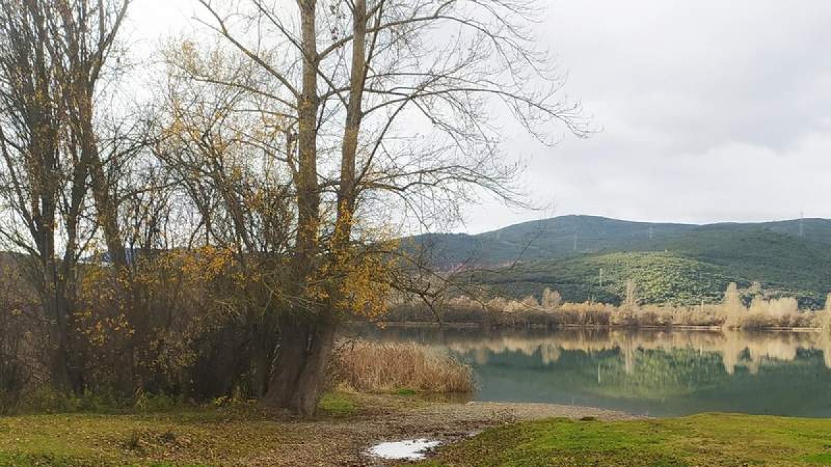 Senda en los alrededores del Lago de Carucedo. DL