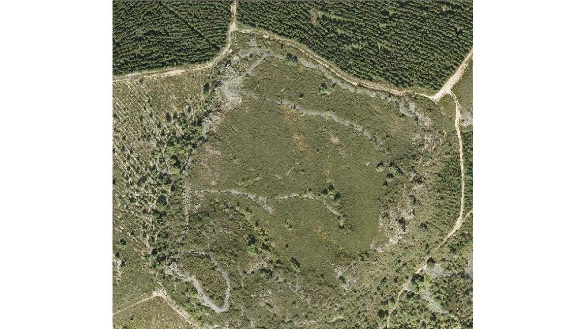 Vista área del Castro de Peña Piñera, de 12 hectáreas. DL