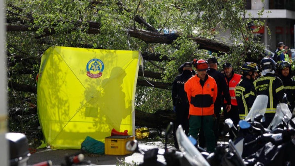 Varias ambulancias permanecen en el número 1 de la calle Almagro de Madrid, donde este jueves una mujer joven ha fallecido tras caerle un árbol encima a causa de las fuertes rachas de viento. RODRIGO JIMÉNEZ