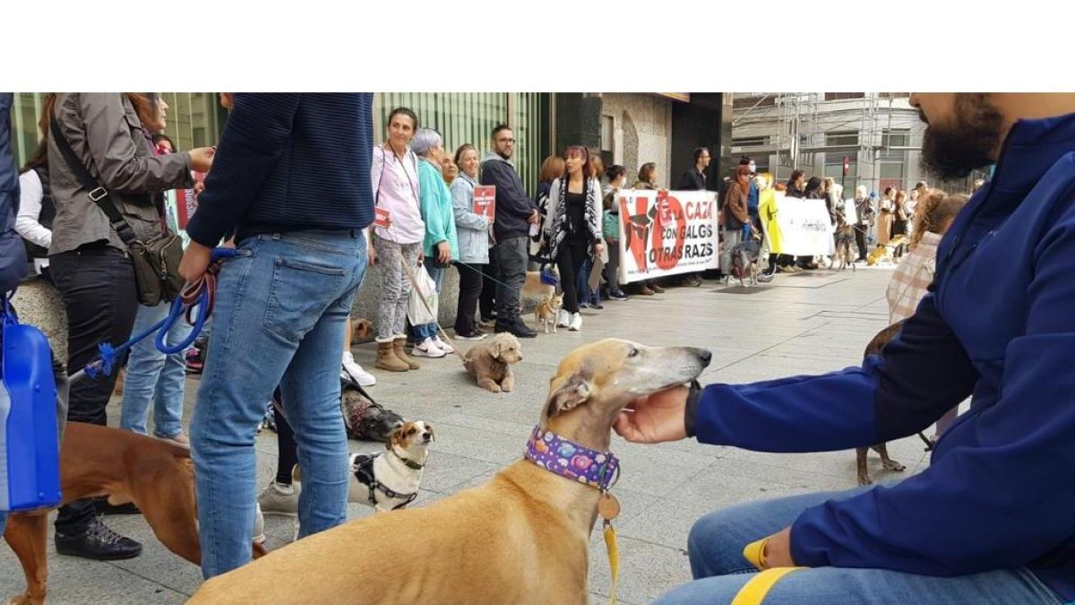 Concentración en León contra  la enmienda del Partido Socialista en relación con la futura Ley de Protección Animal, puesto que esta excluiría a los perros de caza y pastoreo de su cobijo jurídico. DL