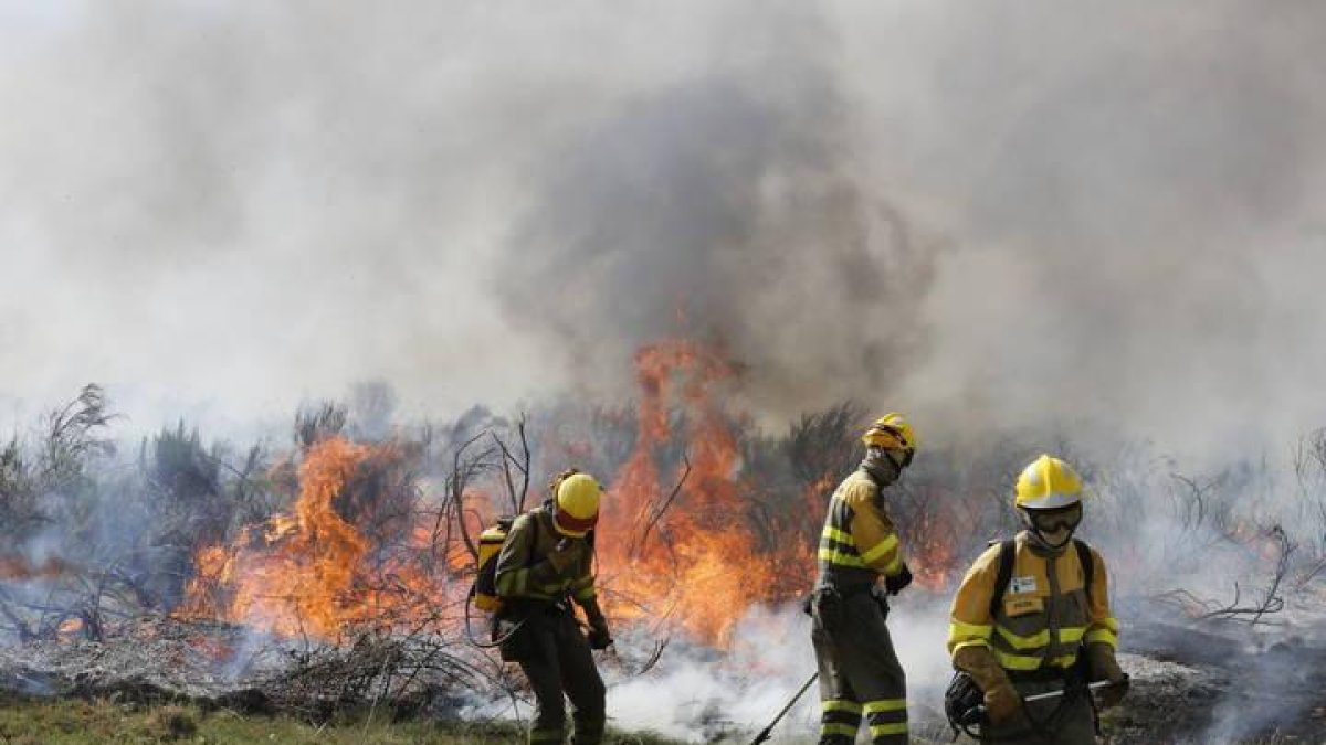 Brigadas luchando contra un incendio en León