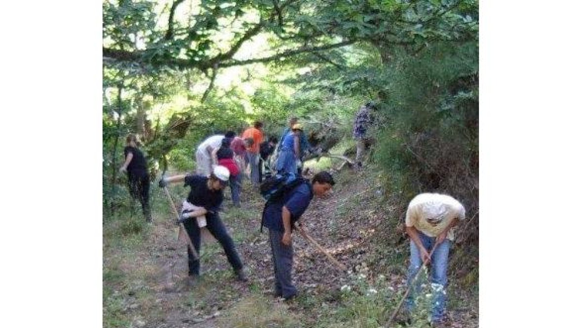 Voluntarios de Promonumenta limpiando un canal romano de La Cabrera