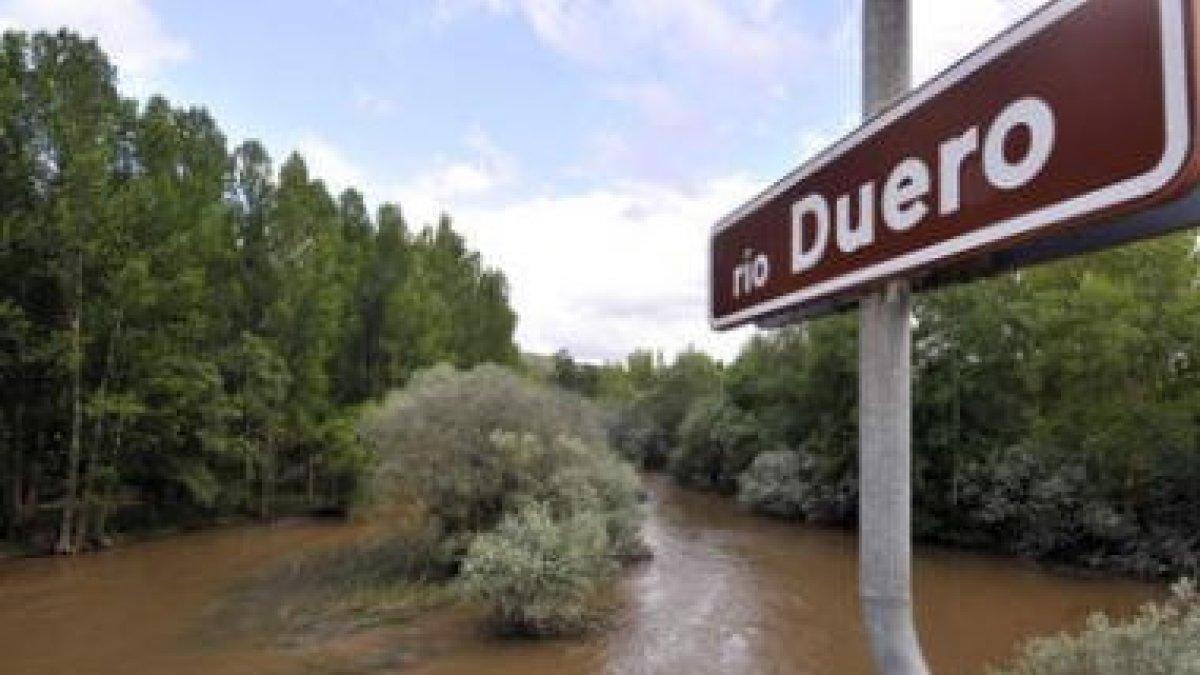 El río Duero en un tramo fluvial próximo a Garray