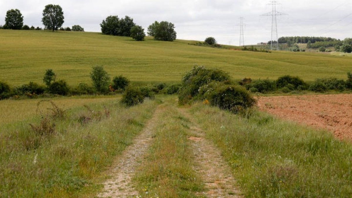 Inmediaciones del paraje de Villavente en el que apareció el cadáver. FERNANDO OTERO