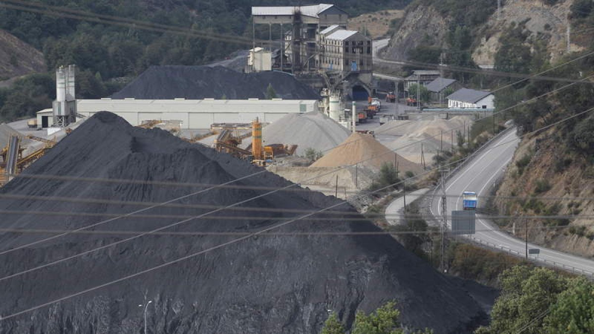 Carbón almacenado en una de las explotaciones de la provincia.