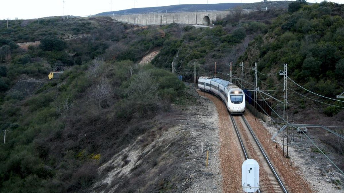 Un tren Alvia recorre la comarca del Bierzo. DANIEL PÉREZ LANUZA
