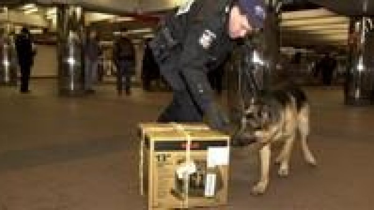 Un policía utiliza un perro para detectar explosivos en el metro de Nueva York