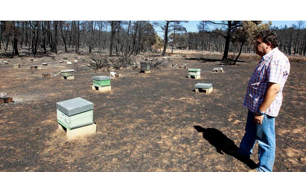 Un apicultor de Tabuyo del Monte observa los daños en uno de sus panales una vez extinguidas las llamas.