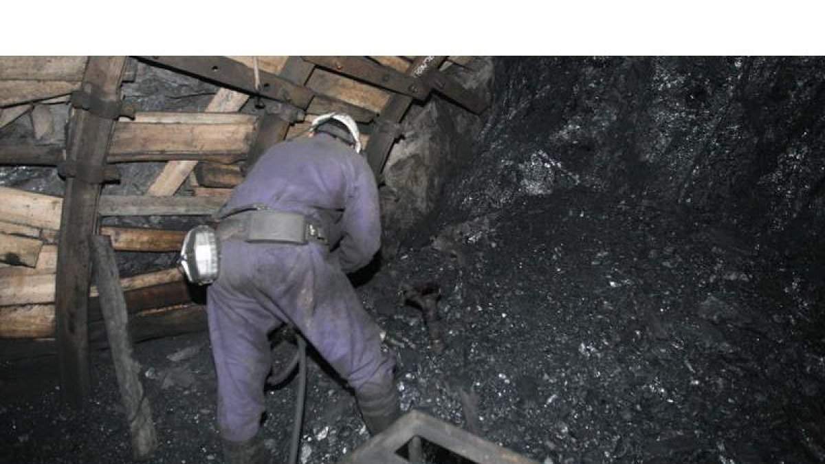 Un minero extrae carbón en un pozo de la Hullera Vasco Leonesa
