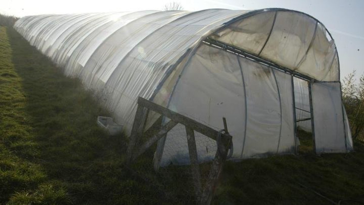 Un invernadero donde se producen productos 'bio'. DANIEL