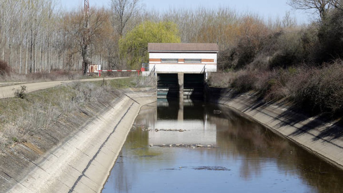 Canal del Esla. MARCIANO PÉREZ