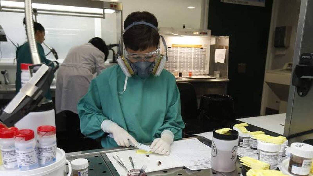 Estudio de muestras biológicas en el servicio de Anatomía Patológica de León.