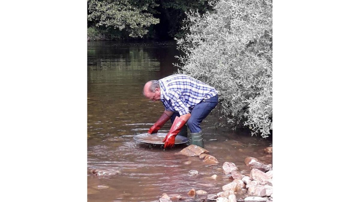 Nito, un reconocido bataedor busca oro en el río Omaña. DL