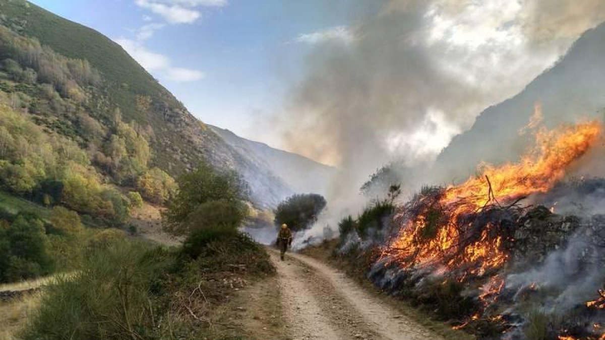 El fuego arrasó el pasado octubre más de 500 hectáreas de Sosas y San Miguel. DL