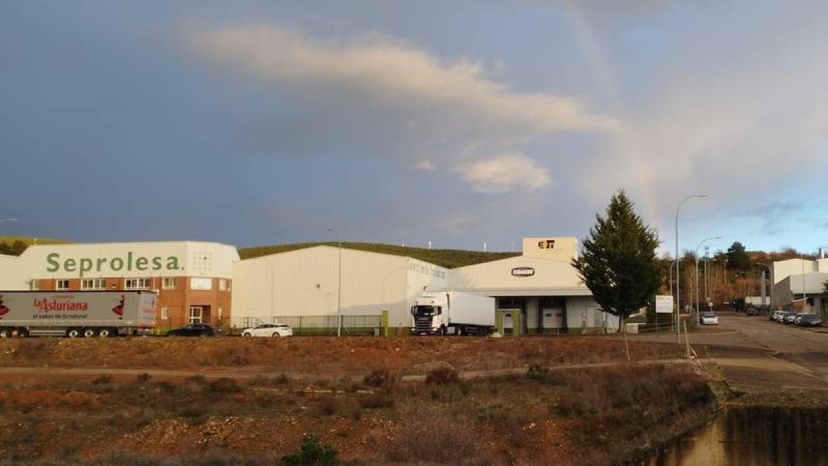 Parte de las empresas del polígono industrial de Cistierna ubicado en terrenos de Vidanes. CAMPOS