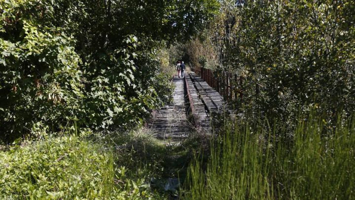 Imagen de los restos de las vías férreas del tren