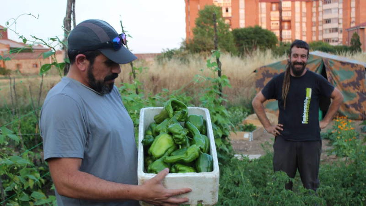 Dos de los ‘agricultores’ muestran orgullosos la cosecha de pimientos.