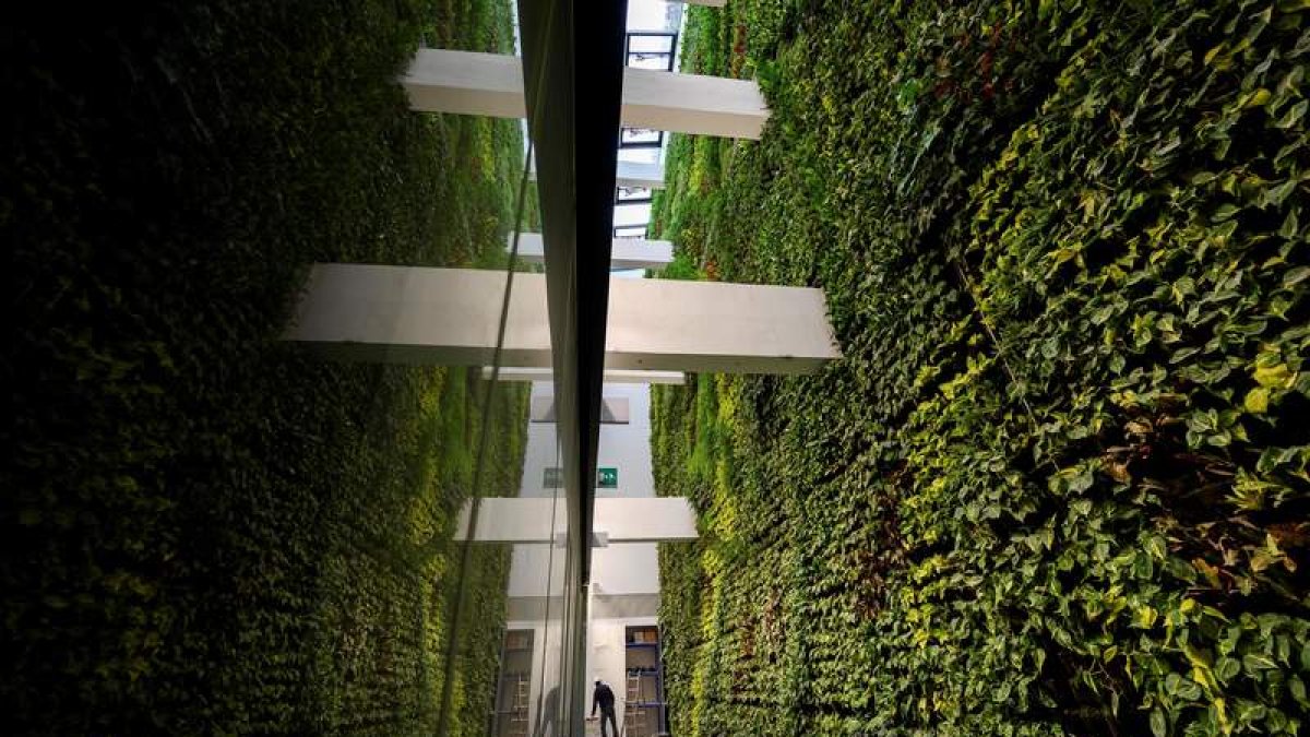 El jardín está diseñado por la Universidad de Sevilla que apuesta por la naturación urbana. PEDRO PUENTE HOYOS