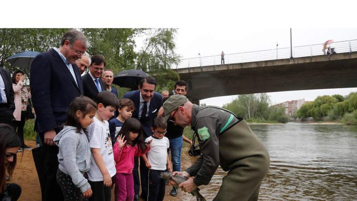 Suelta de truchas autóctonas a la altura del puente Martín Granizo, ayer. JESÚS F. SALVADORES